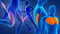graphic of the human body in blue lines with pink and orange highlighting of the muscle types