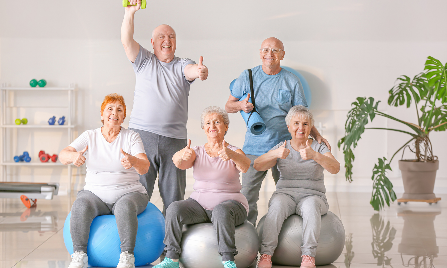 Foundations of Medical Fitness: A Comprehensive Course for Specialists